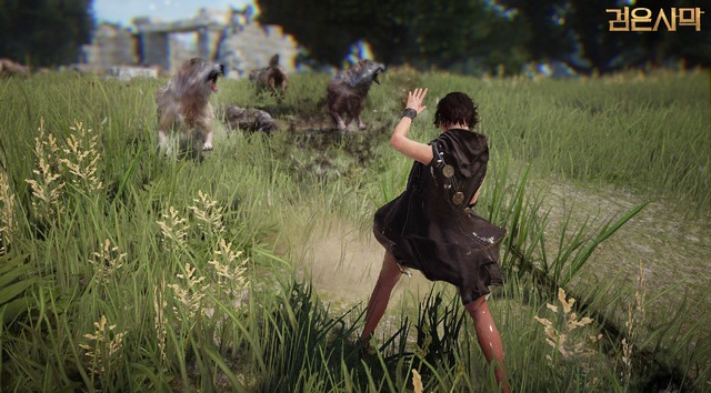 Images de Black Desert Online