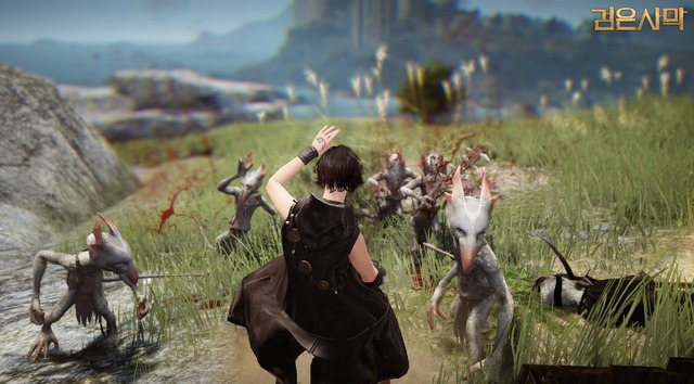 Images de Black Desert Online