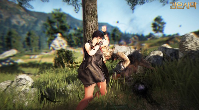 Images de Black Desert Online