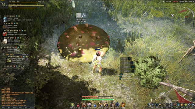 Images de Black Desert Online