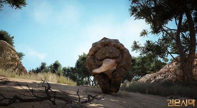 Images de Black Desert Online