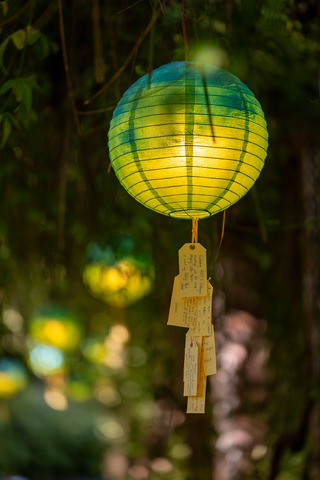 VOASeville2026 VOA 1019027