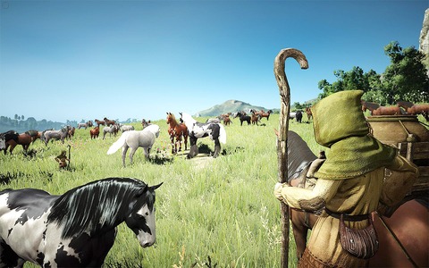 Black Desert Online - Les montures et le housing de Black Desert en images