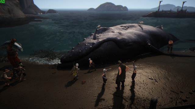 Baleine échouée