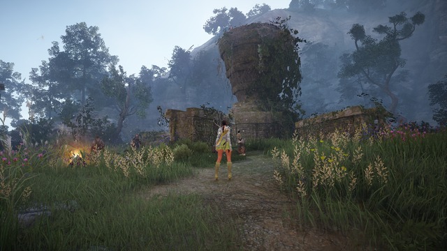 Images de Black Desert Online