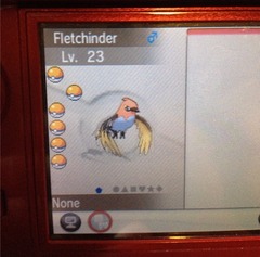 Un nouveau Pokémon oiseau ?