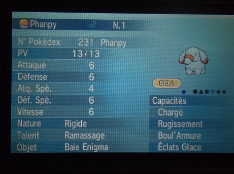 Pokémon - Distribution : des Phanpy nourris aux hormones, accompagnés de leur Baie Enigma