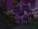 Image de World of Warcraft #4451