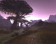 Image de World of Warcraft #4662