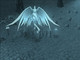 Image de World of Warcraft #4343