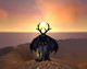 Images de World of Warcraft