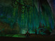 Image de World of Warcraft #4455