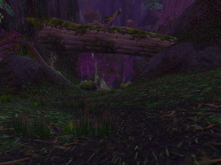 Image de World of Warcraft #4246