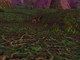 Image de World of Warcraft #4296