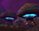 Image de World of Warcraft #4478