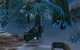 Image de World of Warcraft #4979