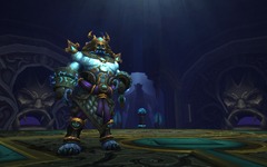 Le quotidien du joueur de World of Warcraft - Le raid héroïque