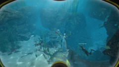 Plongée anticipée pour World of Diving avec l'Oculus Rift