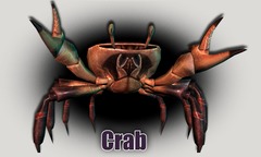Du crabe au menu de Wurm Online