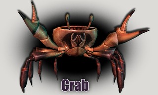 Crabe