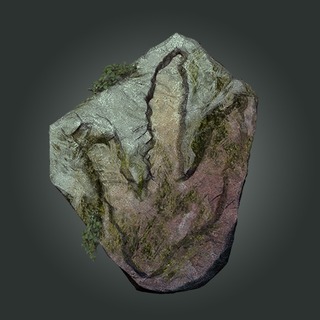 Logo de The Stomping Land