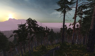 Forêt Forêt