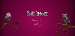 Pottermore, un projet transmedia entre jeu en ligne et énigmes réelles ?