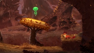 Une méduse ? En pleine forêt ?