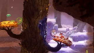 Différences du paysage en fonction de la saison