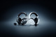 20c BlacksharkV3Pro Black White PC R1 000