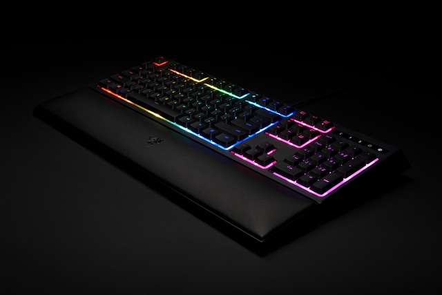 Razer Ornata Chroma 10