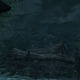 Images de The Elder Scrolls V - Skyrim