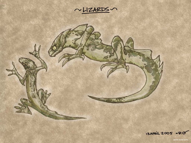 Lézards