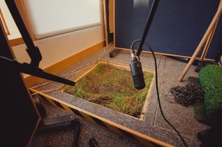 Image de Rare #135153