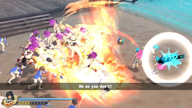 Images de Senran Kagura Estival Versus