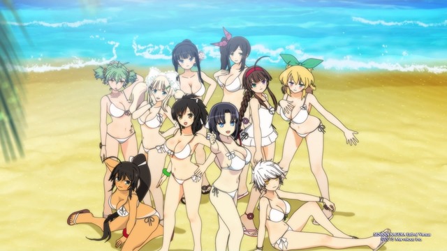 Images de Senran Kagura Estival Versus