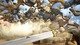 Arslan GroupC Screens Jaswant Kubard Azrael Battle Kubard 1