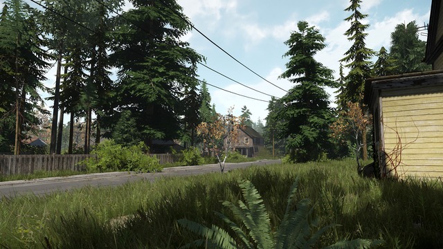 Images de Miscreated
