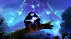 Test d'Ori and the Blind Forest : Definitive Edition