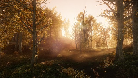 New World - New World illustre la contrée de Brightwood