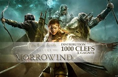 Distribution : 1000 clefs Elder Scrolls Online et Morrowind à gagner