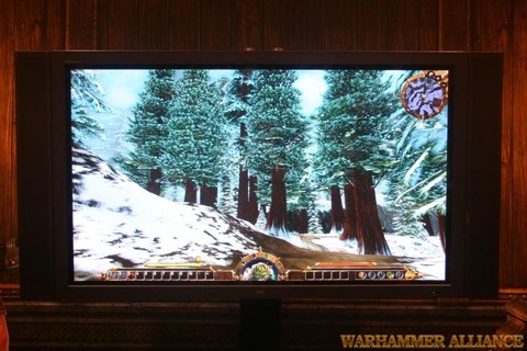 Warhammer Online - Photos de l'interface.