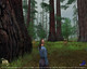 Les gigantesques forêts d'Endor regorgent d'Ewoks