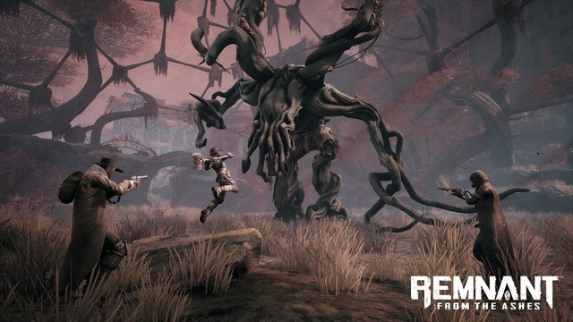 Images de Remnant: From the Ashes