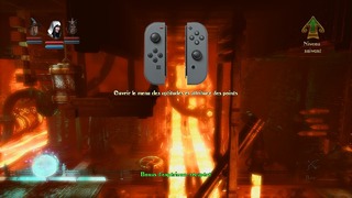 L'image du joycon gauche cache complètement le personnage joué.