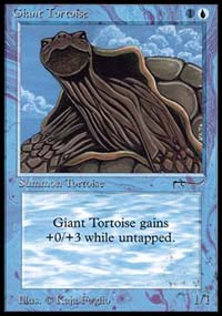 giant_tortoise.jpg