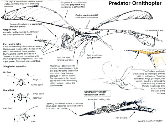 Croquis des Ornithopters du Predator