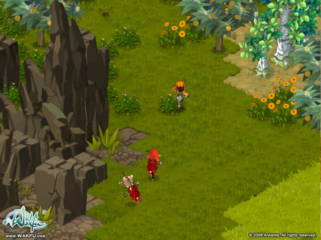 Images de WAKFU