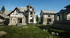 Mortal Online 2 esquisse son système de contrôle de territoires et de cités de joueurs