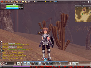 Image de Ragnarok Online 2 #16497